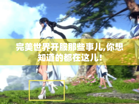 完美世界开服那些事儿,你想知道的都在这儿！