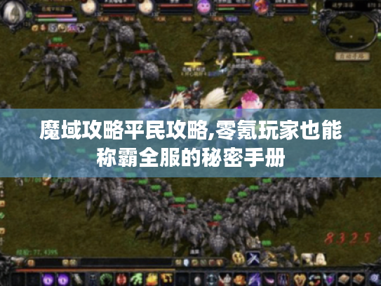 魔域攻略平民攻略,零氪玩家也能称霸全服的秘密手册