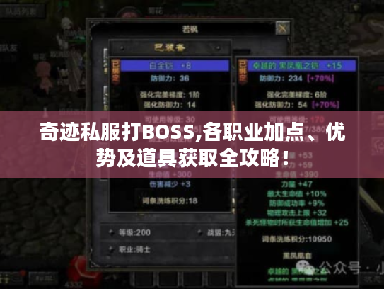 奇迹私服打BOSS,各职业加点、优势及道具获取全攻略！