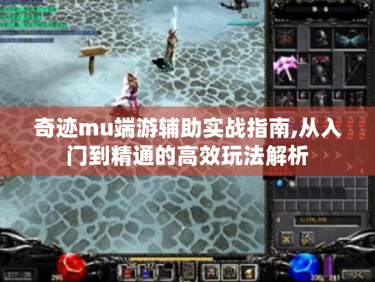 奇迹mu端游辅助实战指南,从入门到精通的高效玩法解析