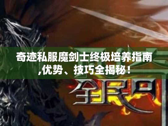 奇迹私服魔剑士终极培养指南,优势、技巧全揭秘！