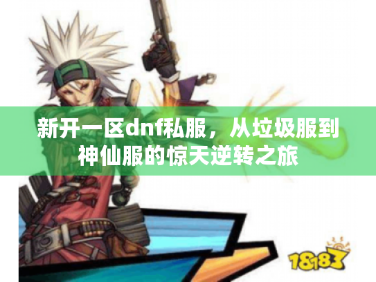 新开一区dnf私服，从垃圾服到神仙服的惊天逆转之旅