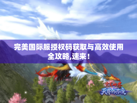 完美国际服授权码获取与高效使用全攻略,速来！