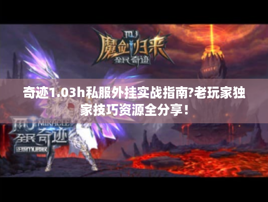 奇迹1.03h私服外挂实战指南?老玩家独家技巧资源全分享！