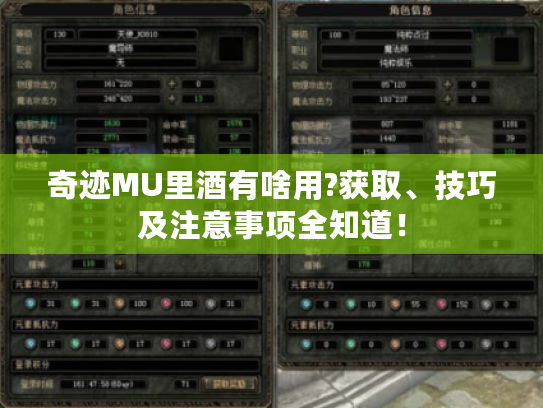 奇迹MU里酒有啥用?获取、技巧及注意事项全知道！