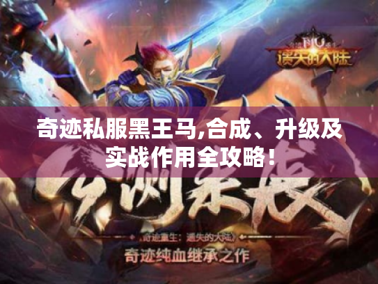 奇迹私服黑王马,合成、升级及实战作用全攻略！