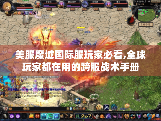 美服魔域国际服玩家必看,全球玩家都在用的跨服战术手册