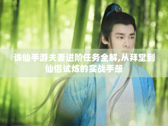 诛仙手游夫妻进阶任务全解,从拜堂到仙侣试炼的实战手册