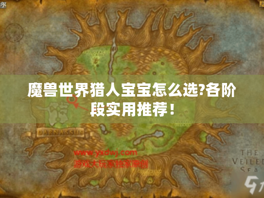 魔兽世界猎人宝宝怎么选?各阶段实用推荐！