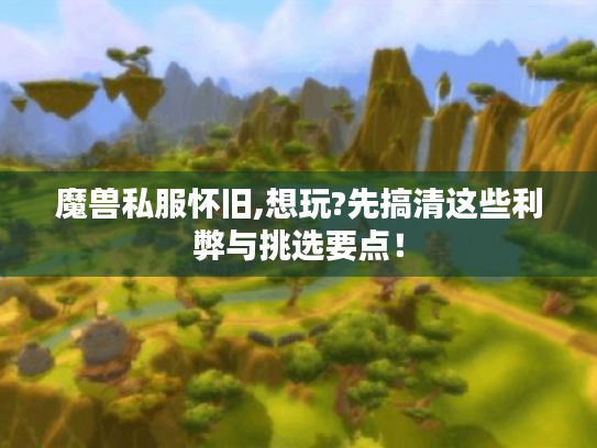 魔兽私服怀旧,想玩?先搞清这些利弊与挑选要点！