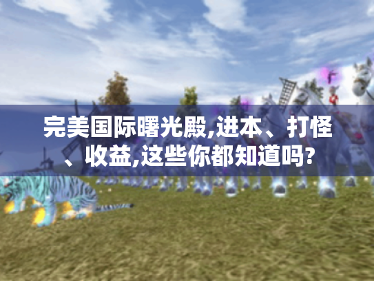 完美国际曙光殿,进本、打怪、收益,这些你都知道吗?