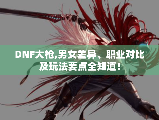 DNF大枪,男女差异、职业对比及玩法要点全知道！