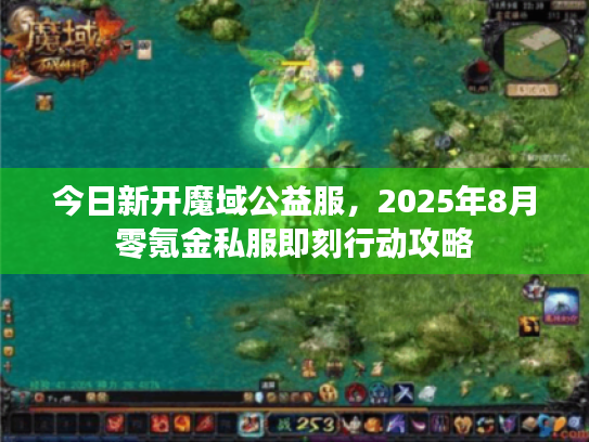 今日新开魔域公益服，2025年8月零氪金私服即刻行动攻略