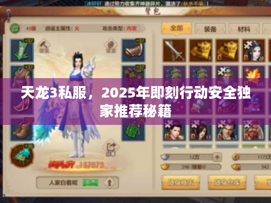 天龙3私服，2025年即刻行动安全独家推荐秘籍