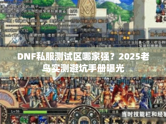 DNF私服测试区哪家强？2025老鸟实测避坑手册曝光