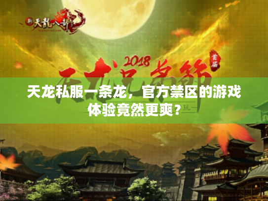 天龙私服一条龙，官方禁区的游戏体验竟然更爽？