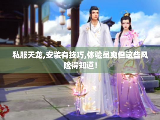 私服天龙,安装有技巧,体验虽爽但这些风险得知道！