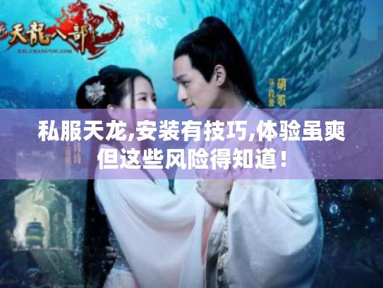 私服天龙,安装有技巧,体验虽爽但这些风险得知道！