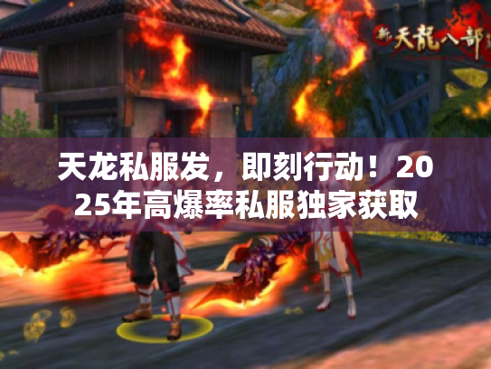 天龙私服发，即刻行动！2025年高爆率私服独家获取
