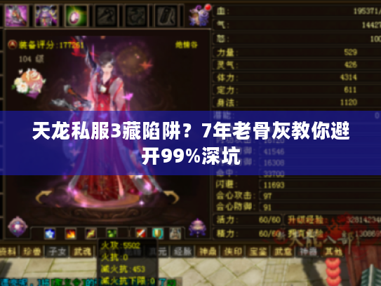 天龙私服3藏陷阱？7年老骨灰教你避开99%深坑