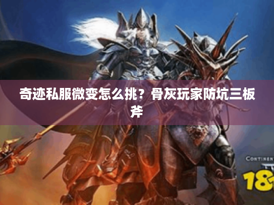 奇迹私服微变怎么挑？骨灰玩家防坑三板斧