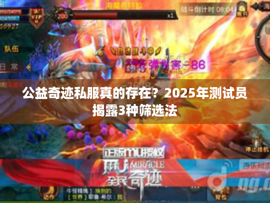 公益奇迹私服真的存在？2025年测试员揭露3种筛选法