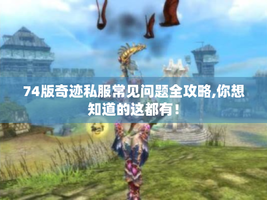 74版奇迹私服常见问题全攻略,你想知道的这都有！