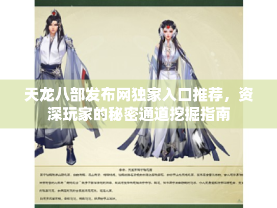 天龙八部发布网独家入口推荐，资深玩家的秘密通道挖掘指南