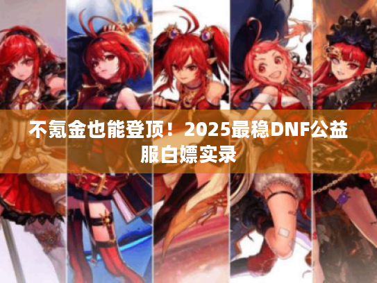 不氪金也能登顶！2025最稳DNF公益服白嫖实录