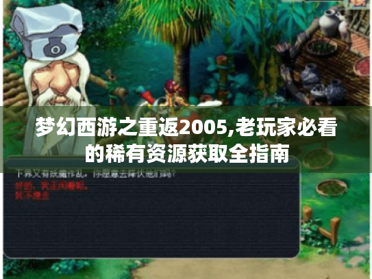 梦幻西游之重返2005,老玩家必看的稀有资源获取全指南