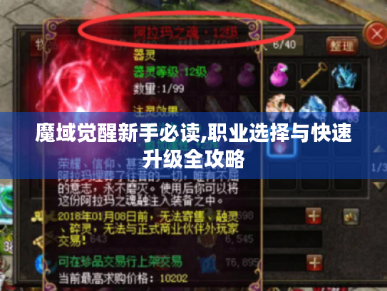 魔域觉醒新手必读,职业选择与快速升级全攻略