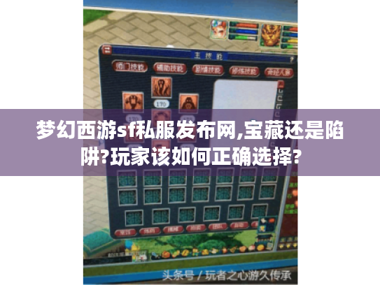 梦幻西游sf私服发布网,宝藏还是陷阱?玩家该如何正确选择?