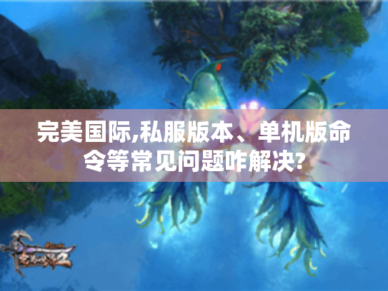 完美国际,私服版本、单机版命令等常见问题咋解决?