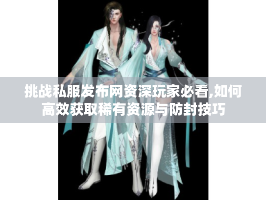 挑战私服发布网资深玩家必看,如何高效获取稀有资源与防封技巧