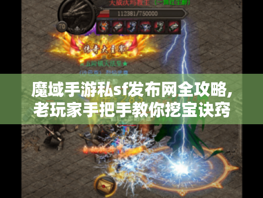 魔域手游私sf发布网全攻略,老玩家手把手教你挖宝诀窍
