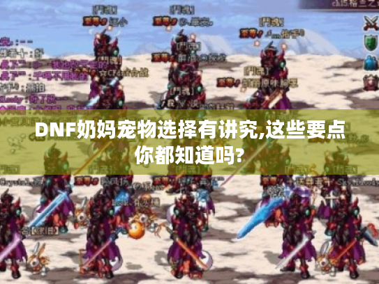 DNF奶妈宠物选择有讲究,这些要点你都知道吗?