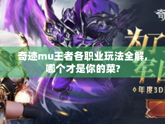 奇迹mu王者各职业玩法全解,哪个才是你的菜?