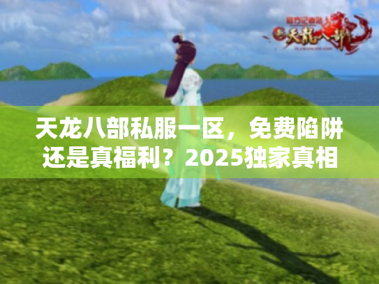 天龙八部私服一区，免费陷阱还是真福利？2025独家真相