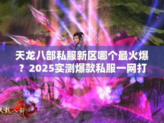 天龙八部私服新区哪个最火爆？2025实测爆款私服一网打尽