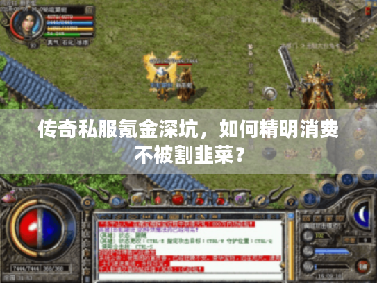 传奇私服氪金深坑,如何精明消费不被割韭菜? 传奇私服氪金深坑,如何精明消费不被割韭菜?