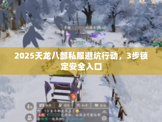 2025天龙八部私服避坑行动，3步锁定安全入口