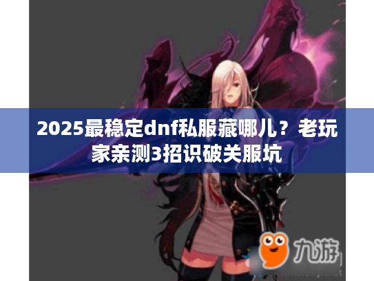 2025最稳定dnf私服藏哪儿？老玩家亲测3招识破关服坑