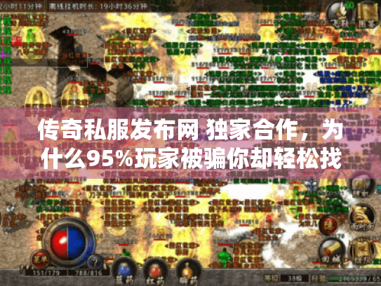 传奇私服发布网 独家合作,为什么95%玩家被骗你却轻松找到稳定服? 传奇私服发布网 独家合作,为什么95%玩家被骗你却轻松找到稳定服?