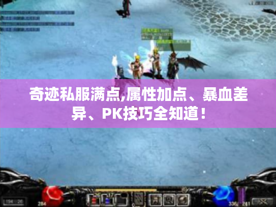 奇迹私服满点,属性加点、暴血差异、PK技巧全知道！