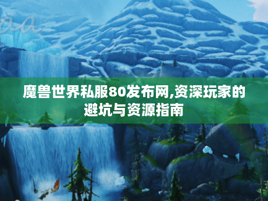 魔兽世界私服80发布网,资深玩家的避坑与资源指南