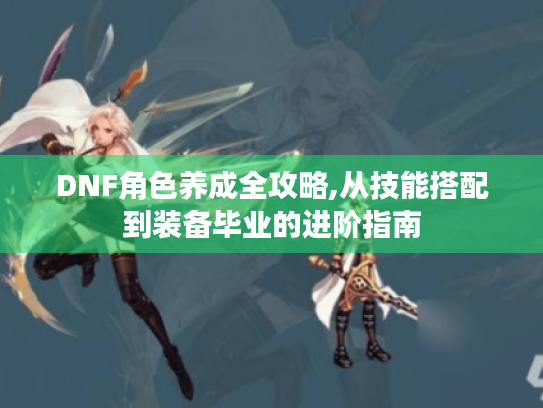 DNF角色养成全攻略,从技能搭配到装备毕业的进阶指南 DNF角色养成全攻略,从技能搭配到装备毕业的进阶指南