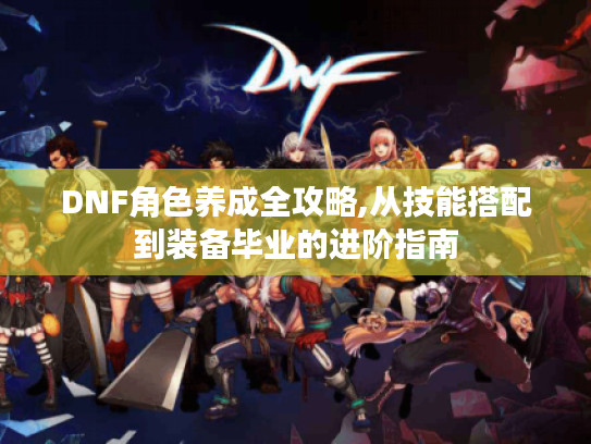 DNF角色养成全攻略,从技能搭配到装备毕业的进阶指南 DNF角色养成全攻略,从技能搭配到装备毕业的进阶指南