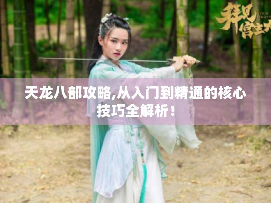 天龙八部攻略,从入门到精通的核心技巧全解析！