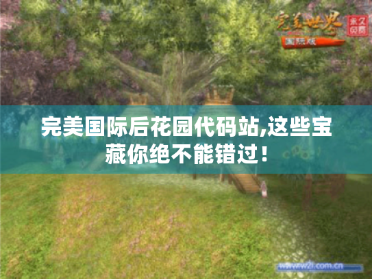 完美国际后花园代码站,这些宝藏你绝不能错过！