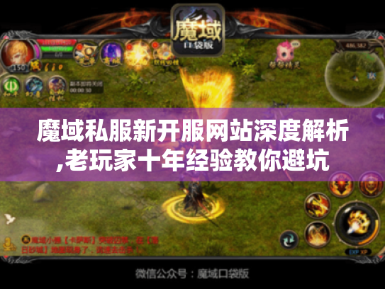 魔域私服新开服网站深度解析,老玩家十年经验教你避坑 魔域私服新开服网站深度解析,老玩家十年经验教你避坑
